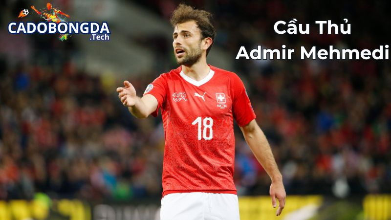 Sự nghiệp thi đấu quốc tế của Admir Mehmedi