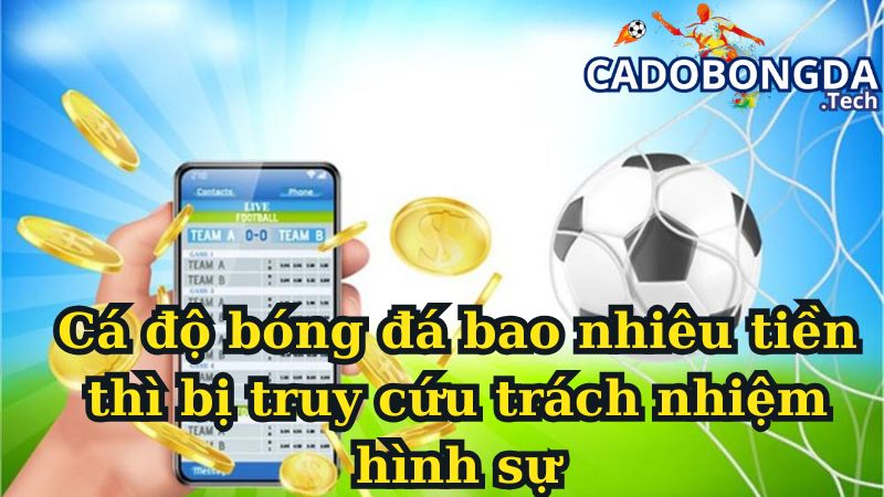 Cá độ bóng đá bao nhiêu tiền thì bị truy cứu trách nhiệm hình sự?